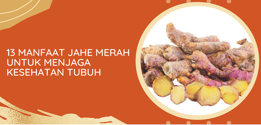 13 Manfaat Jahe Merah untuk Menjaga Kesehatan Tubuh